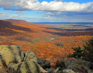 Fall at Hawk Mountain